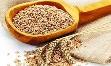 Esmer Buğday Neden Tüketilmelidir?