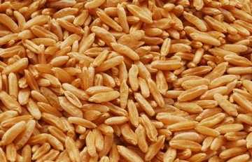 Kavuzlu Buğday Kullanımı ve Faydaları Nelerdir?